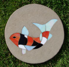 Koi Carp